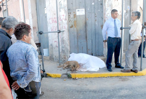 perro amo muerto venezuela