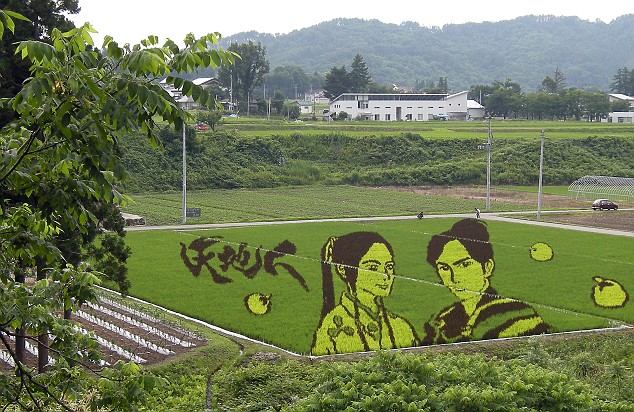 campos-arroz-dibujos-arte-Naoe-Kanetsugu-osen-Tenchijin