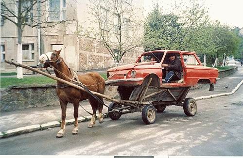 imagenes-humor-animales-caballo-automovil