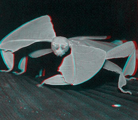 imagen 3D insectos bugs