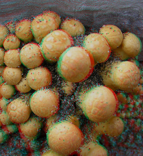 imagen 3D setas fungus