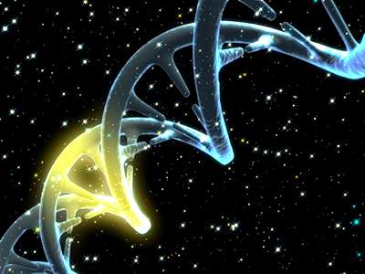 gen genes cromosomas adn