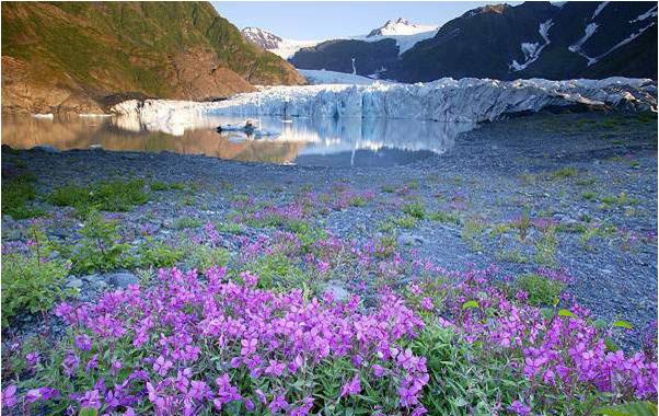 glaciar pedersen alaska estados unidos