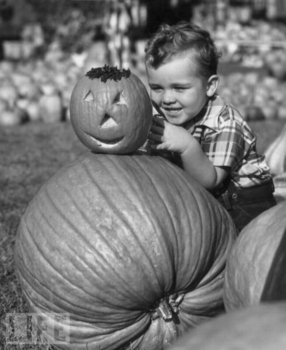 halloween evolucion anos antes despues 44