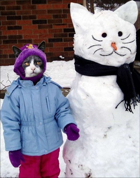 munecos nieve gato