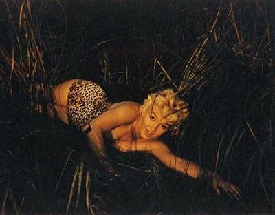 Marilyn Monroe Eve Arnold mujer leopardo