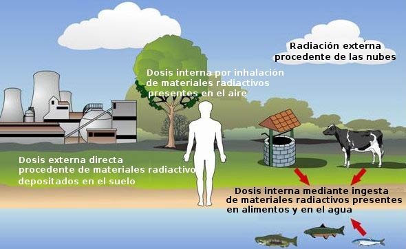 radiactividad radiacion ser humano