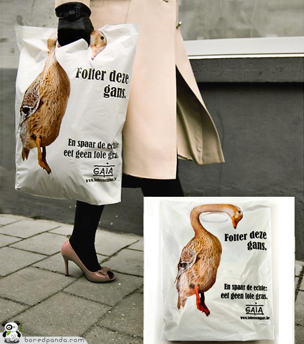 gaia Global Action in the Interest of Animal belgica