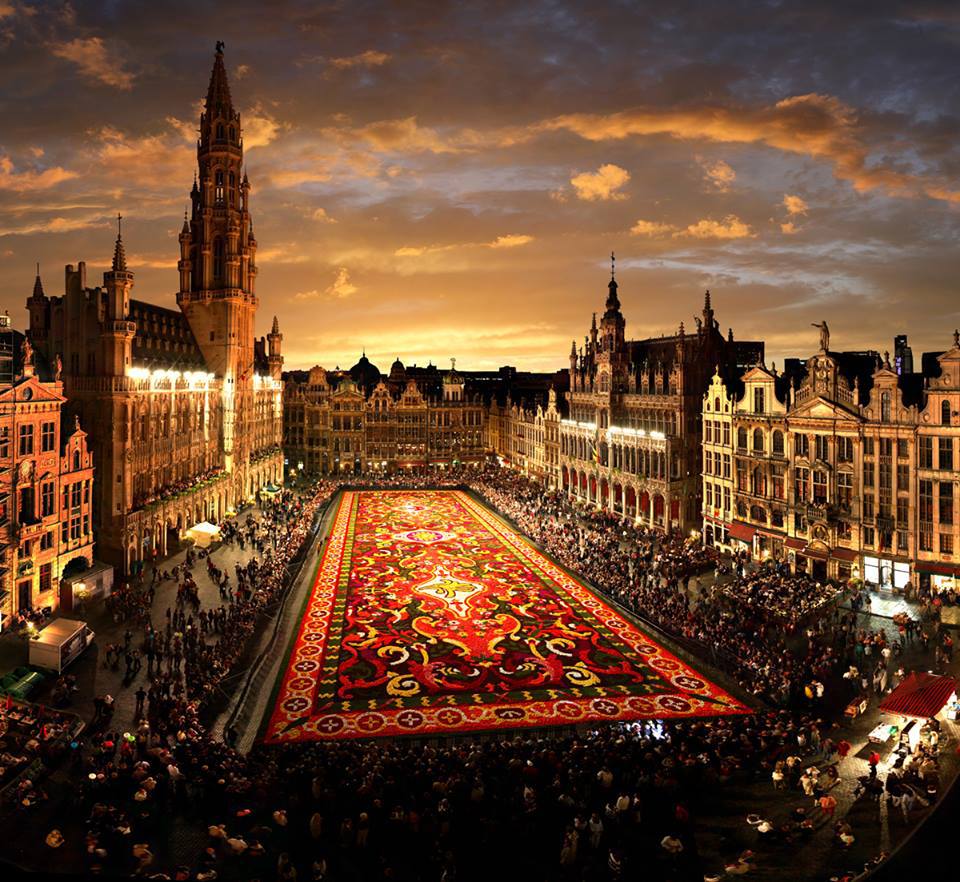 alfombra flores belgica bruselas