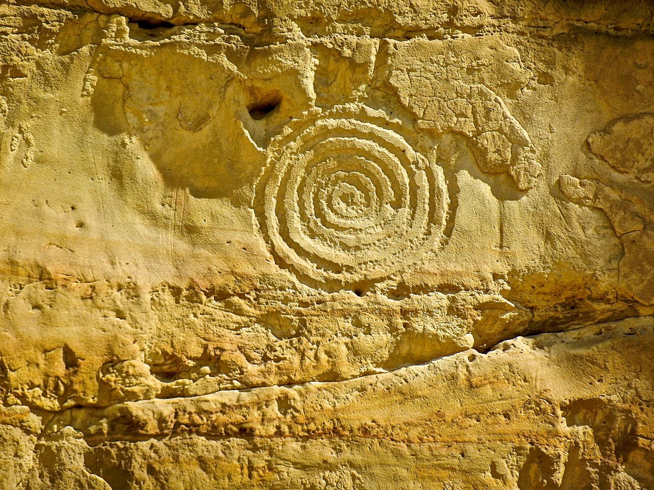 canon chaco espiral