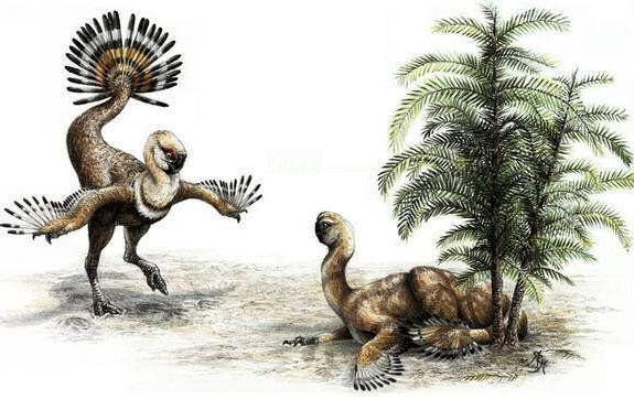 oviraptores plumas