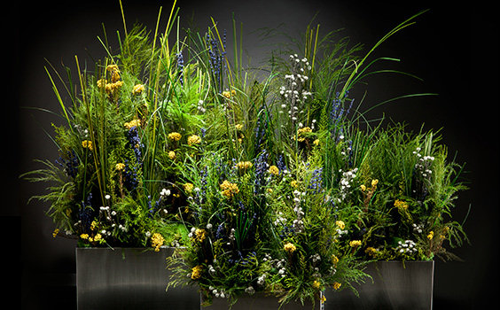 pradera decoracion plantas